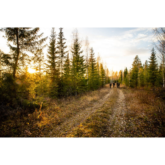 SAFETY CAP - US 5800