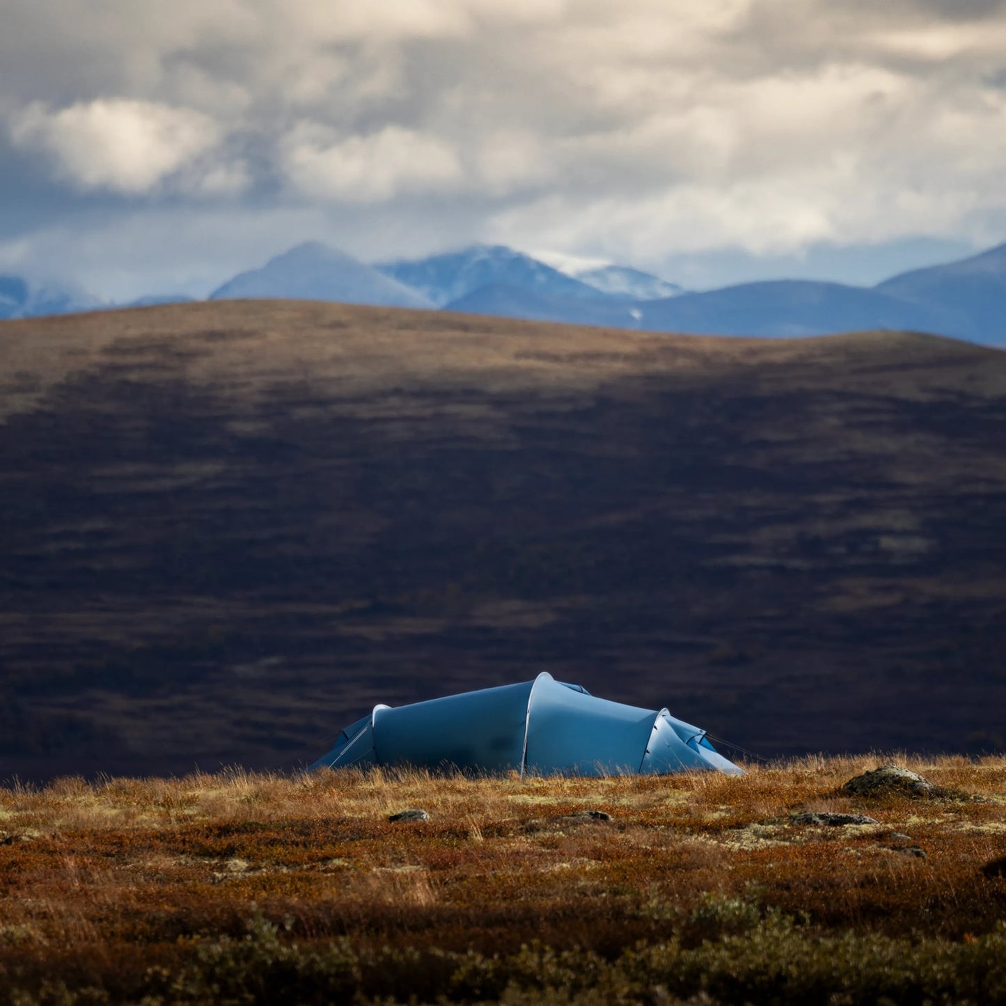 ABISKO SHAPE 2 - US 3446