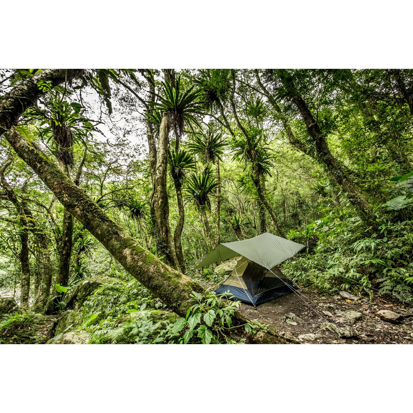 ABISKO TARP - US 0566