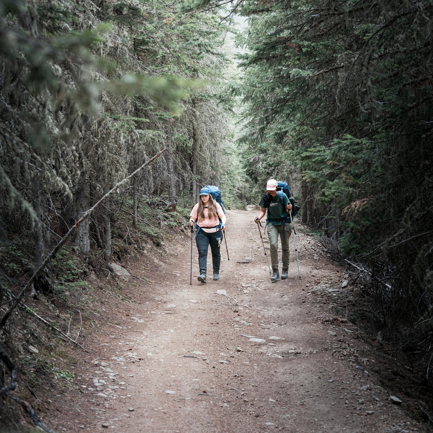 ABISKO HYBRID TRAIL TRS W - US 9749