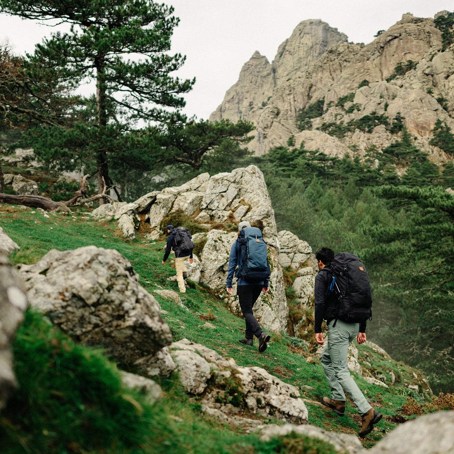 KAJKA 35 M/L - US 9965